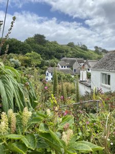 The walk down to Cadgwith Cove