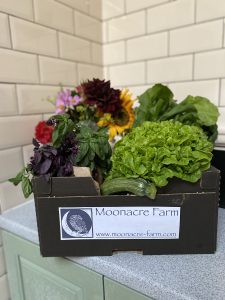 Veg box to purchase at The Roundhouse